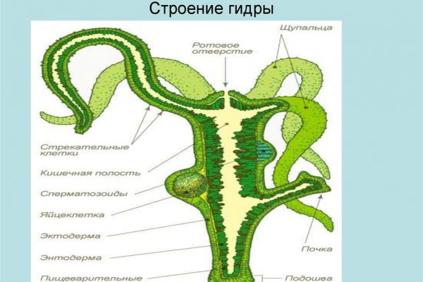 Кракен сайт регистрация